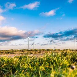 Windräder hinter einem Feld