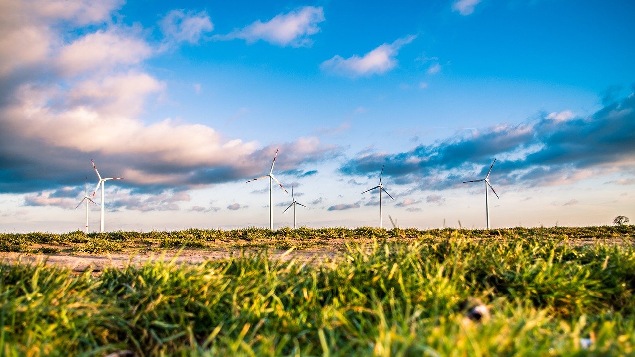 Windräder hinter einem Feld