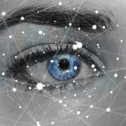 Neuronale Netze im Blick