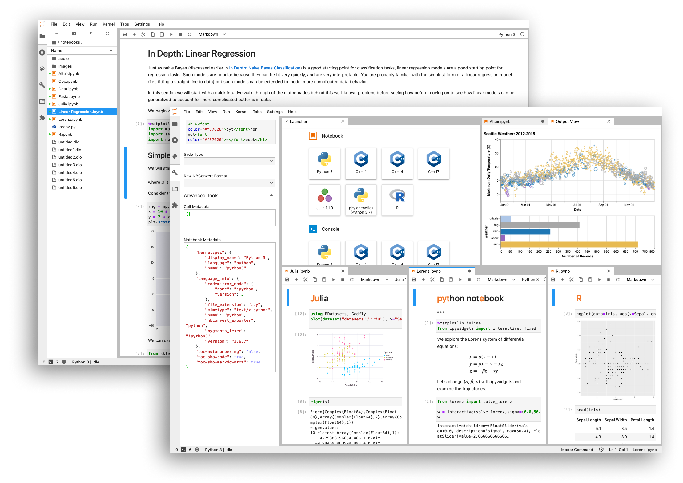 labpreview (Bildquelle https://jupyter.org/index.html)