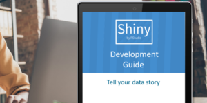 Shiny Development Guide