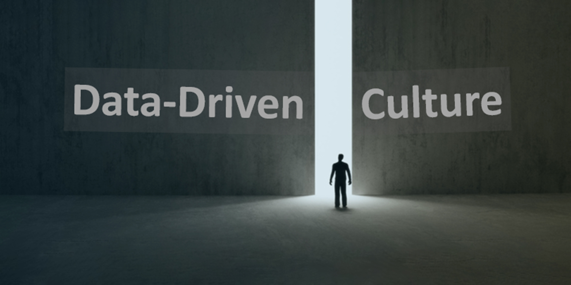 Data-Driven Culture Portal Blick