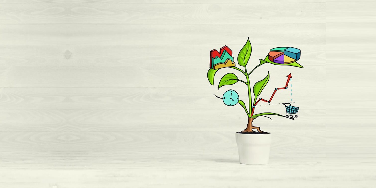 Pflanze-Blüte-Business-Charts Pflanze mit Business Charts