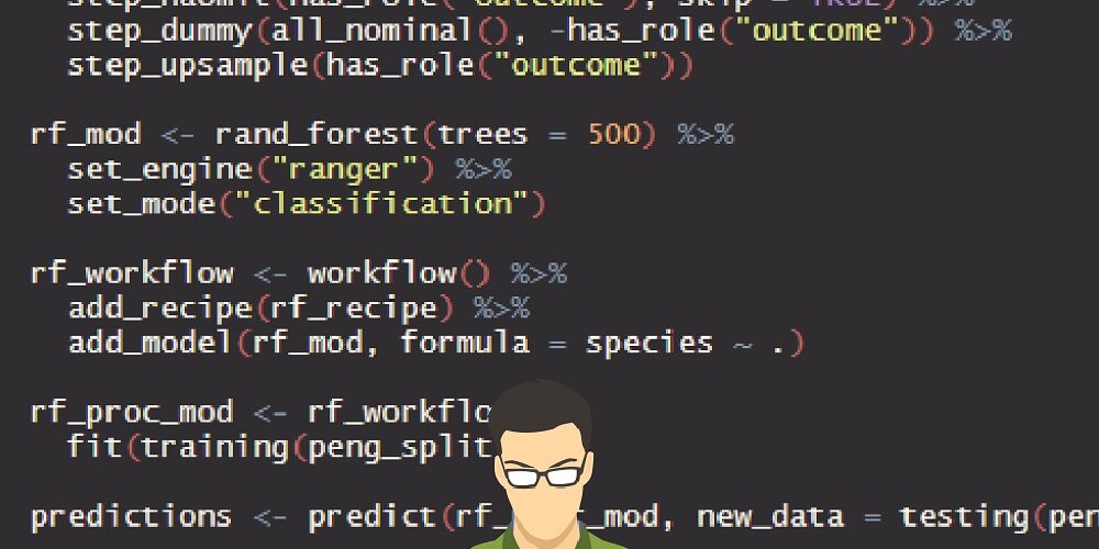 Professioneller R Code-preview