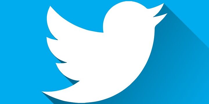 twitter-2672572_960_720 twitter-2672572_960_720